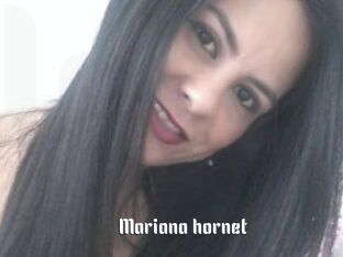 Mariana_hornet