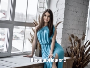 Meadowflowers