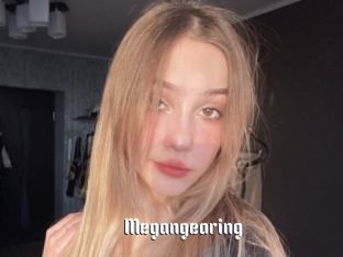 Megangearing