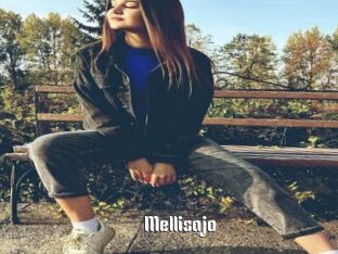 Mellisajo