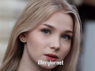 Merylarnet