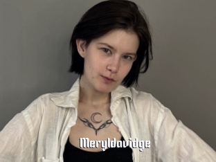 Meryldavidge