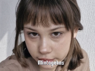 mintagekas 1 grosse chatte