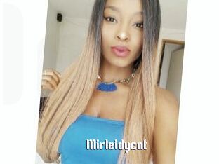 Mirleidycat