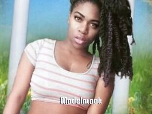 Modelmook