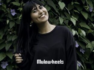 Mulawheels