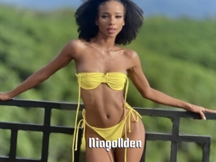 Niagollden
