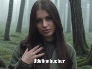Odelinabucher