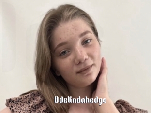 Odelindahedge