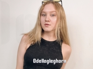 Odellagleghorn