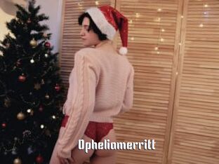Opheliamerritt