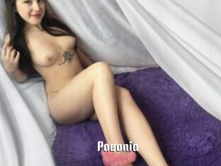 Paeonia
