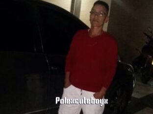 Polexcuteboyx