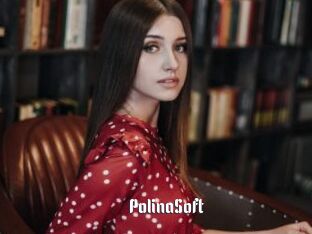 PolinaSoft