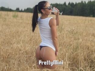 PrettyMini