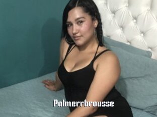 Palmerrbrousse