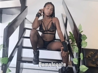 Pamelagate