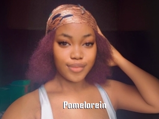 Pamelarein