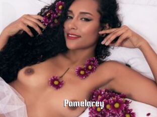 Pamelarey