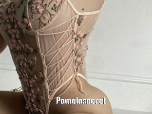 Pamelasecret