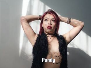Pandy