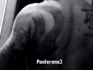 Panterona3