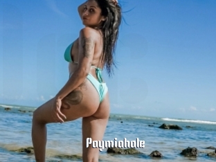 Paymiahale