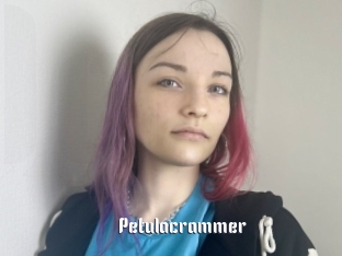 Petulacrammer