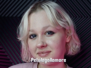 Petulagallamore