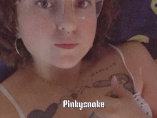 Pinkysnake