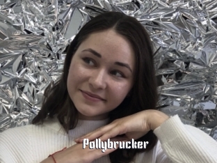 Pollybrucker