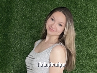 Pollydrudge