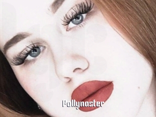 Pollynaster