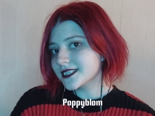 Poppyblom