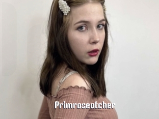 primroseatcher 1 grosse chatte