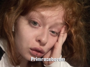 Primroseborom