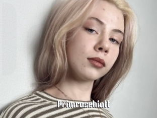 Primrosehiatt
