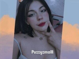 Pussysmalll