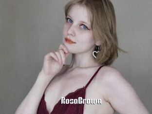 RosaBrown