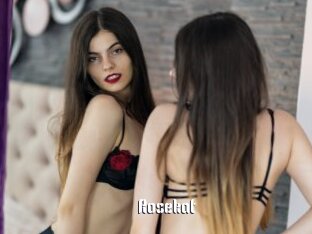 Rosekat