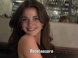 Rosetaasaro