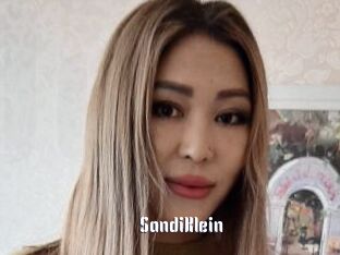 SandiKlein