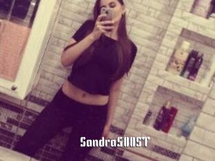 Sandra500ST