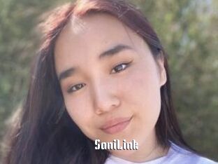 SaniLink