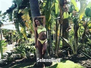 SelenaDice