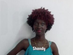 Shandy