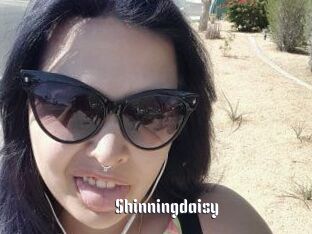 Shinningdaisy
