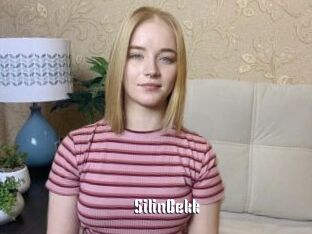 SilinBekk