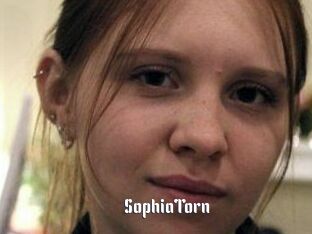 SophiaTorn