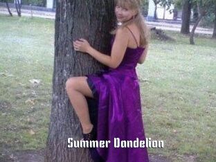 Summer_Dandelion